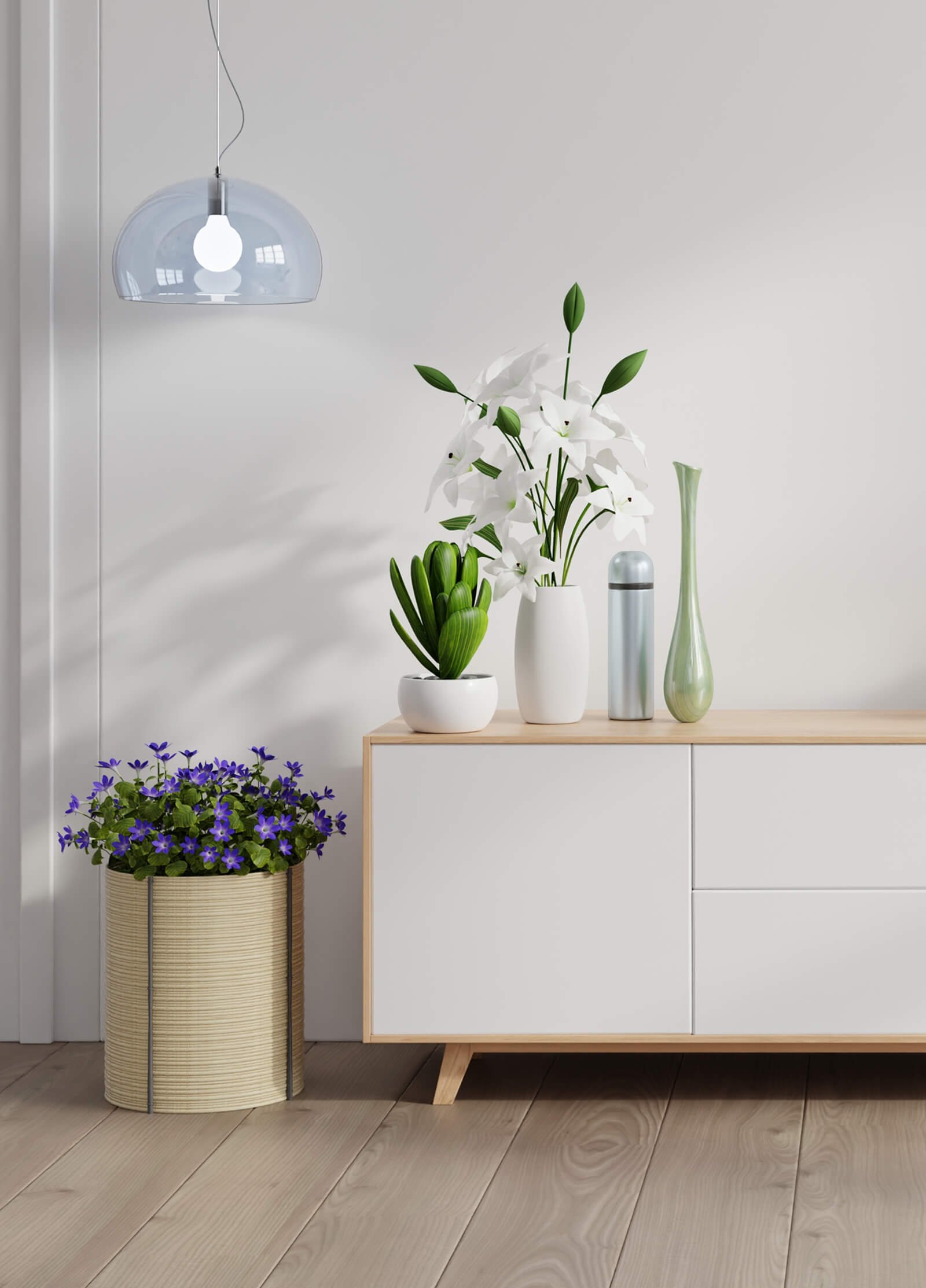 Eco Living Space